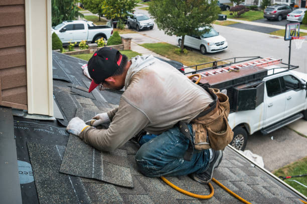 Professional Gutter Repair And Installation technician working in Ophiem, IL