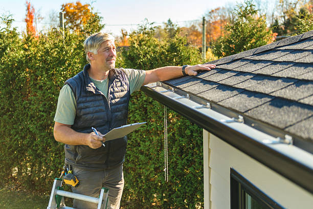 Affordable Gutter Repair And Installation solutions in Ophiem, IL